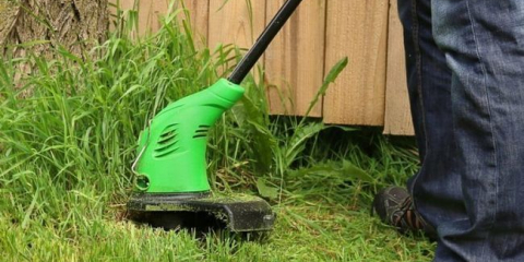 Co si vybrat zastřihovač: druhy, charakteristika a popis